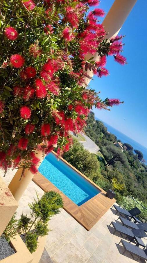 Les De Pietra Rossa * Bastia (Corsica)